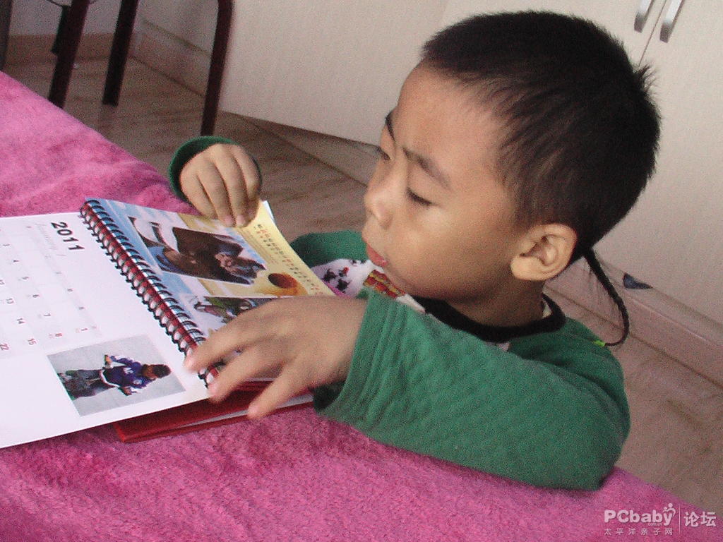 海豚對這本臺歷可是很有興趣呢，一直沒撒手