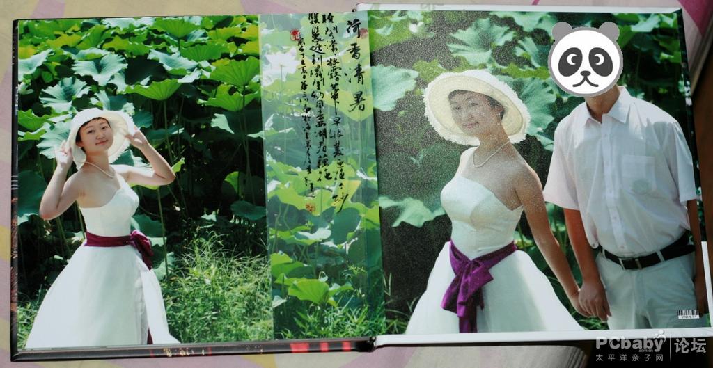 荷塘月色，哈哈，只能想想